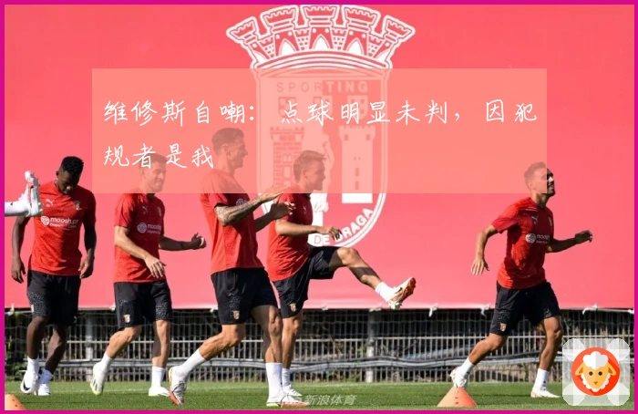 维修斯自嘲：点球明显未判，因犯规者是我