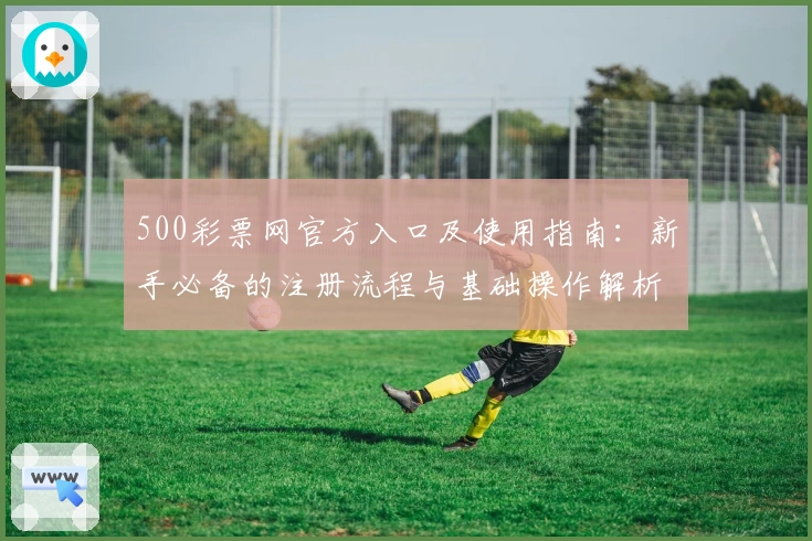 500彩票网官方入口及使用指南：新手必备的注册流程与基础操作解析