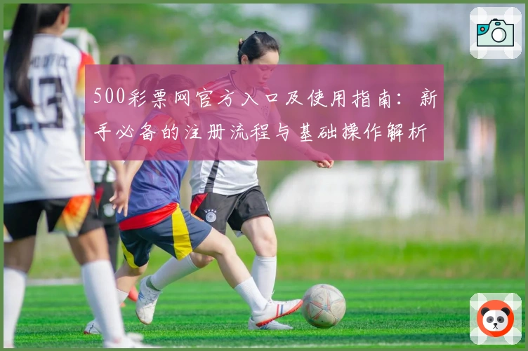 500彩票网官方入口及使用指南:新手必备的注册流程与基础操作解析