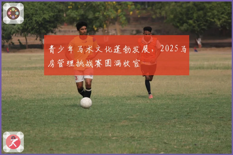 青少年马术文化蓬勃发展，2025马房管理挑战赛圆满收官